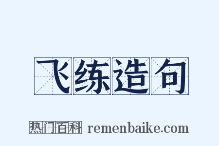 飞练造句是什么意思的图片